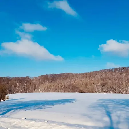 Komfort-ferienhaus Sonnental #50 * Extertal