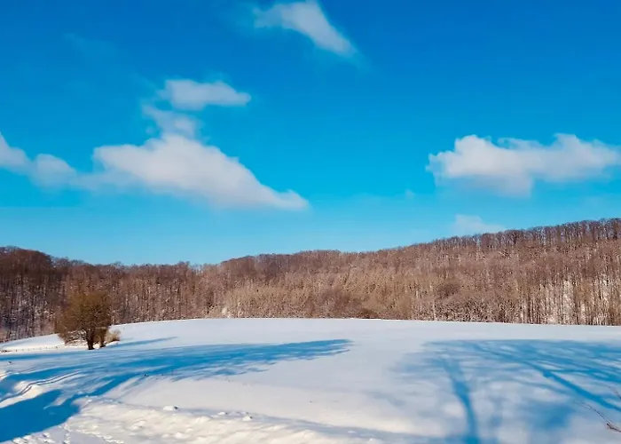 Komfort-ferienhaus Sonnental #50 * 埃克斯特塔尔